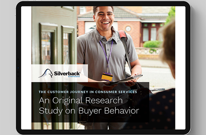 silverback strategies glassdoor silverback strategies glassdoor