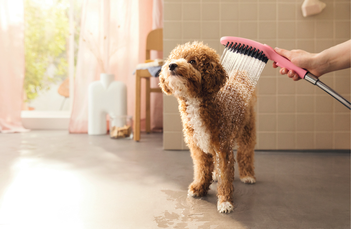 puppy washing