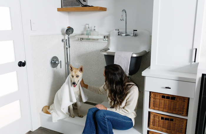 dog wash station