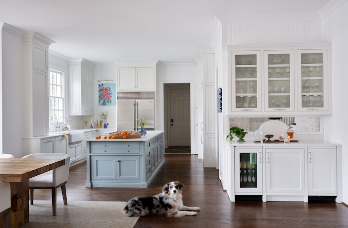 dog in kitchen